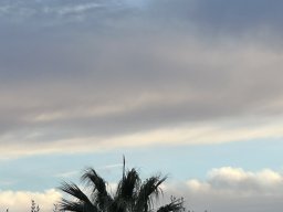 255-17-01-2026 IMG_3466